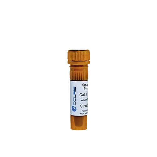 SmartGlow Safe DNA Stain| Gel Electrophoresis Consumables and Reagents
