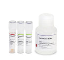 Luna-FL Yeast Viability Kit