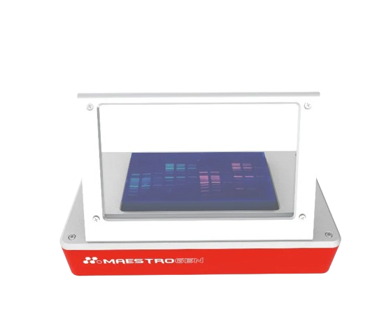 UV Transilluminator | UltraSlim Mini UV 302nm 15cm x 8cm Transilluminator