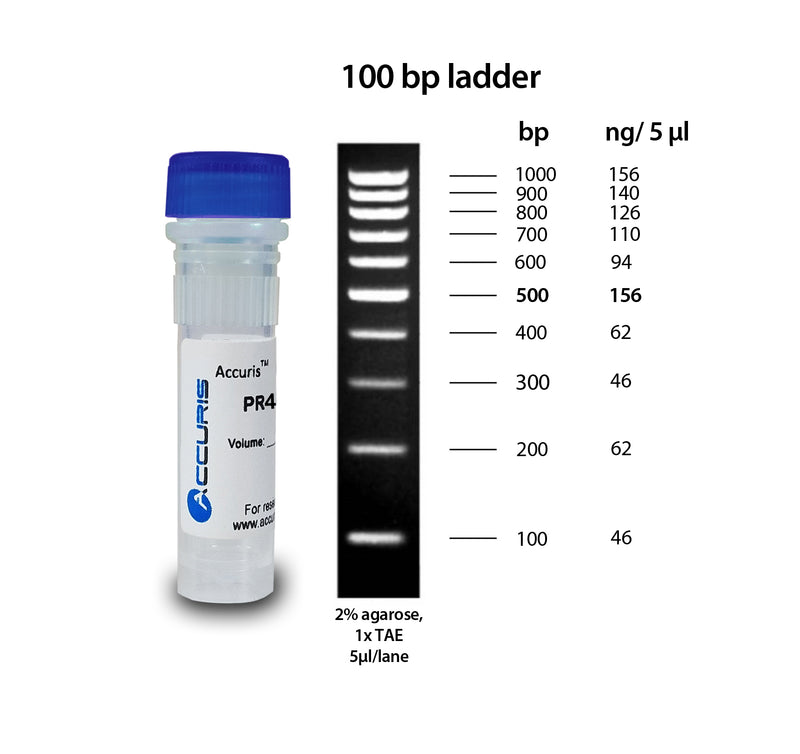 SmartCheck DNA Ladder | Gel Electrophoresis Consumables and Reagents