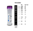 SmartCheck DNA Ladder | Gel Electrophoresis Consumables and Reagents
