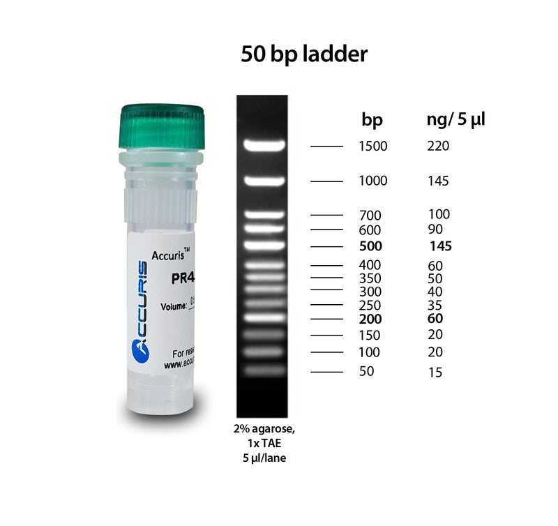 SmartCheck DNA Ladder | Gel Electrophoresis Consumables and Reagents