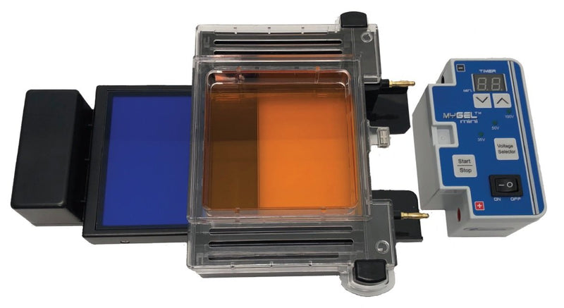 Accuris MyGel InstaView | Gel Electrophoresis System | Gel Documentation System