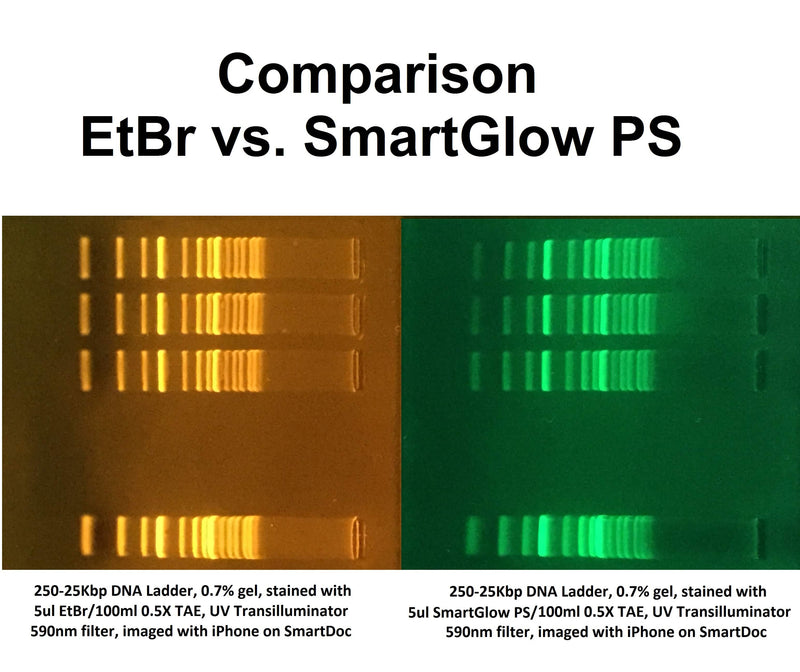 SmartGlow Safe DNA Stain| Gel Electrophoresis Consumables and Reagents
