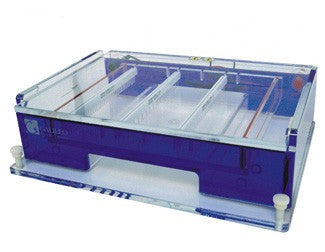 ExpressCast 20cm x 25cm Gel Electrophoresis System