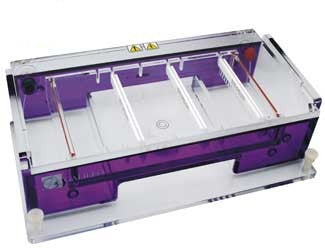 ExpressCast 15cm x 25cm Gel Electrophoresis System