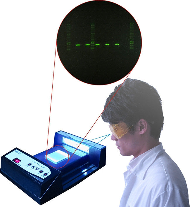 SafeBlue Illuminator and Power Supply