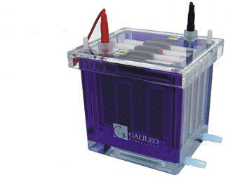 Insight Western Blot Tank Style Blotting System