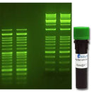 SmartGlow Safe DNA Stain| Gel Electrophoresis Consumables and Reagents